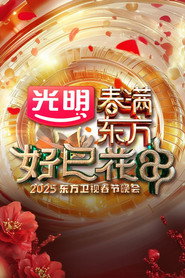 春满东方好巳花申·2025东方卫视春节晚会 封面