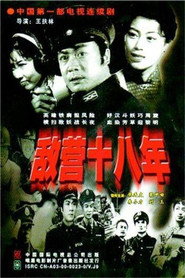 敌营十八年 封面