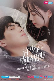 许少的隐婚甜妻 第二季 封面