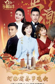 河南卫视春节联欢晚会 封面