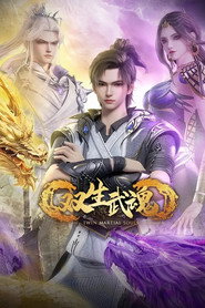 双生武魂 封面
