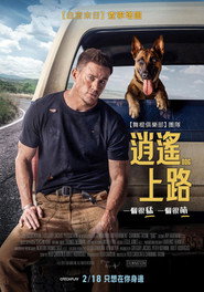 忠犬 封面
