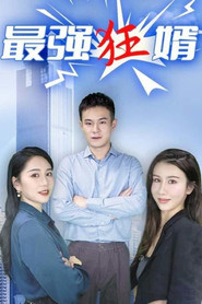 最强狂婿 封面
