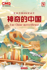 神奇的中国 封面