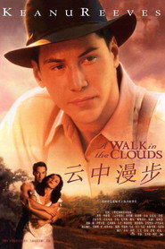 云中漫步 封面