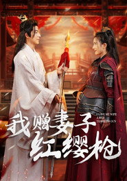 我赠妻子红缨枪 封面