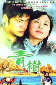 青树 封面