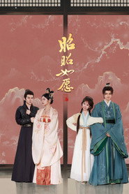 昭昭如愿 封面