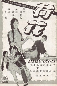 荷花 封面