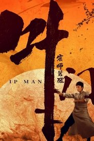 叶问宗师觉醒 封面