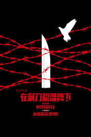 铁血残阳——在刺刀和藩篱下 封面