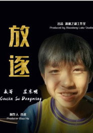放逐 封面