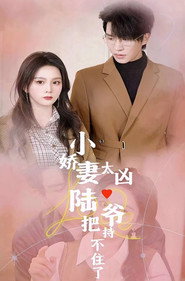 小娇妻太凶,陆爷把持不住了 封面