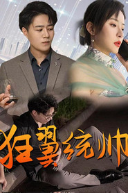 狂翼统帅 封面