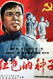 红色的种子 封面