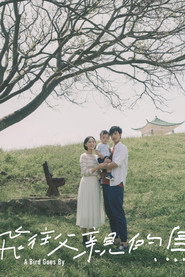 飛往父親的鳥 封面