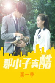 那小子真酷 封面