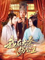我在大秦拐公主 封面