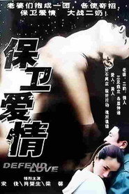 保卫爱情 封面