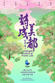 诗美成都 封面