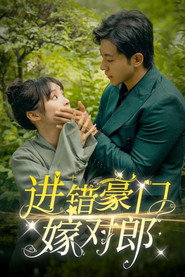进错豪门嫁对郎 封面