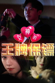 女神的王牌保镖 封面
