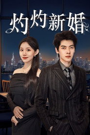 灼灼新婚 封面