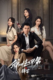 我叫赵甲第之锋芒 封面
