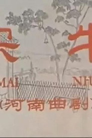 买牛 封面