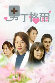 男丁格尔 封面