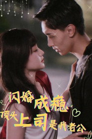 闪婚成瘾，顶头上司是我老公 封面