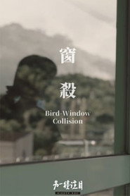 窗殺 封面