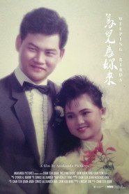 鳥兒為妳來 封面