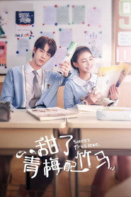 甜了青梅配竹马 封面