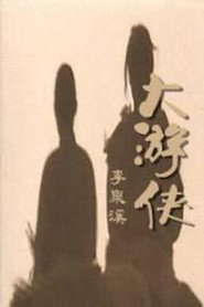 大游侠 封面