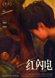 红闪电 封面