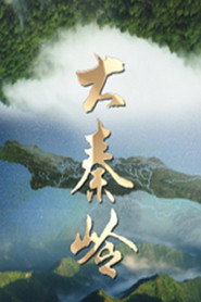 大秦岭 封面