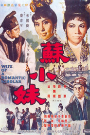苏小妹 封面
