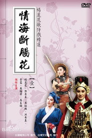 情海断肠花 封面