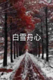 白雪丹心 封面