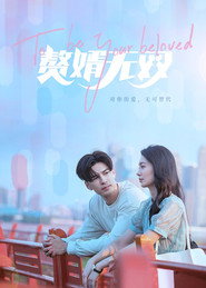 赘婿无双 封面