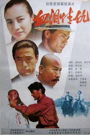泰山恩仇 封面