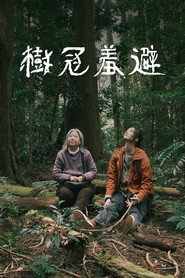 樹冠羞避 封面
