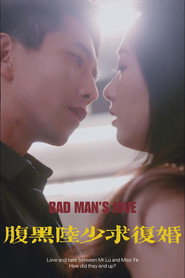 腹黑陆少求复婚 封面
