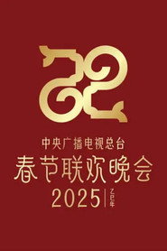 2025抖音灯火万家欢聚夜 封面