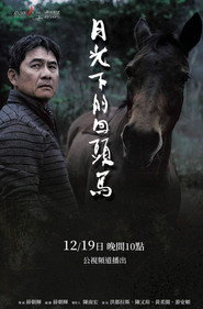 月光下的回頭馬 封面