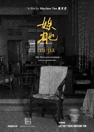 娭毑 封面