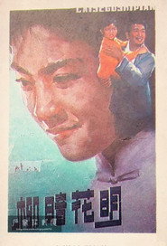 柳暗花明 封面