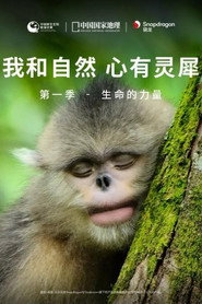 我和自然 心有灵犀 封面