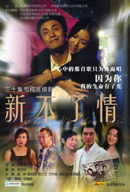 新不了情 封面